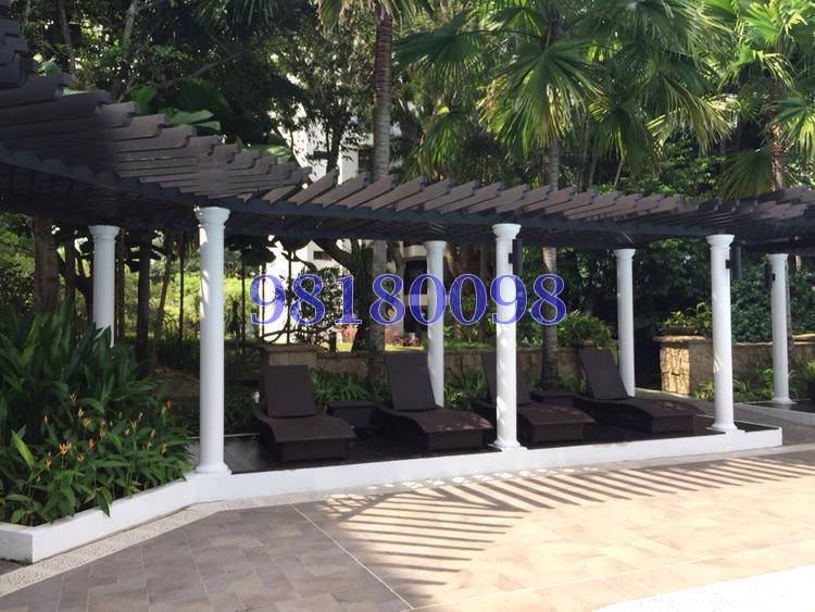Tanglin Park (D10), Condominium #75340022